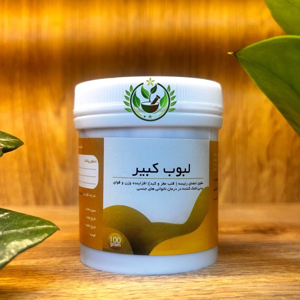 معجون لبوب کبیر | پرداخت درب منزل